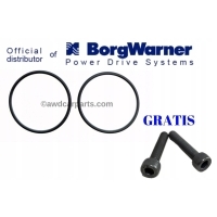 Borgwarner кольца для насосов haldex 4 поколения болты для насосы 4 gen.