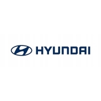 Hyundai OE 546303K000 amortyzator