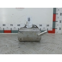 Теплообменник Volkswagen Golf 6 (2007-2012) 2004 06D117021C,06D117021C
