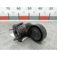 Натяжитель ремня компрессора кондиционера Volvo V50 1 (2004-2010) 2009 31251654,31251654