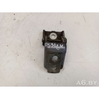 Петля двери задней левой Renault Grand Scenic 3 2013 804200003RL