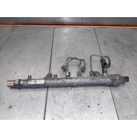 Топливная рампа Skoda Yeti 1 поколение 2011 03L130089B, 03L906051