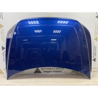 Капот Volkswagen Tiguan 2 AD1 Рестайлинг 2020-2022 5NA823031L