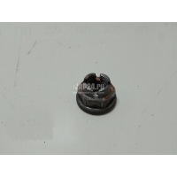 Гайка передней ступицы Renault Dokker 2012 8200964237