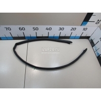 Уплотнитель (наружный) Toyota RAV 4 2019 5339542080