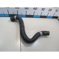 Патрубок радиатора Toyota RAV 4 2019 1657124040