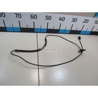 Датчик ABS передний левый Toyota RAV 4 2019 8954342070