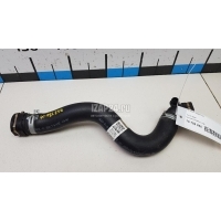 Патрубок радиатора Hyundai-Kia K5 2020 25414L1250