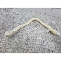 Горловина бачка омывателя Volkswagen Phaeton 2003 3d0955463d