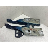 петля двери Jaguar X-Type 2002 1X43-16800-AF,1X43-16801-AF