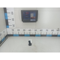 Накладка (кузов внутри) MAN TGX (2007 - 2014) 81621590237