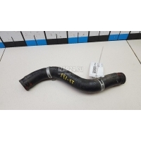 Патрубок радиатора Hyundai-Kia Sorento IV 2020 25414P2000