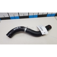 Патрубок радиатора Hyundai-Kia Sorento IV 2020 25414P2000