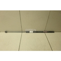 Амортизатор капота Chery Exceed TXL 2020 554000210AB
