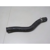 Патрубок радиатора Hyundai-Kia Tucson 2021 25414N9200
