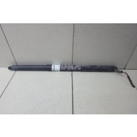 Амортизатор двери багажника Chery Exceed VX 2021 554000341AA