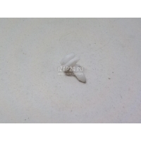 Крепеж (клоп) VAG A3 (8L1) (1996 - 2003) 3B0867333