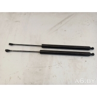 Амортизатор крышки багажника (3-5 двери) Peugeot Partner 2 2012 9680677780