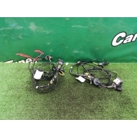 Проводка дверей Smart Fortwo BRABUS W451 2011 A4515409005, 4515406308