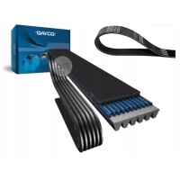 DAYCO PASEK KLINOWY WIELOROWKOWY 25185133 96476110
