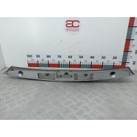 Подсветка номера Kia Carnival_(Sedona) 2 (VQ) (2006-2014) 2006