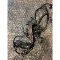 Свет проводов двигателя opel oe 55556217