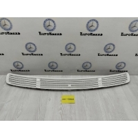 Решетка капота Mercedes W209 Mercedes W209 CLK 2002-2009 A2038800205