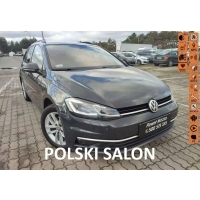 Volkswagen гольф салон польша bezwyoadkowy