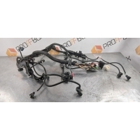 Проводка двигателя BMW 3 series E90 2010 12517812507, 12517808249, 7809179, 7809175