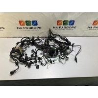 Проводка двигателя BMW M850I G16 2021 12515A050E0