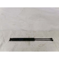 Амортизатор крышки багажника BMW 1-Series F20 51247239871