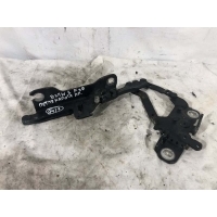 Петля капота BMW 3-series F30 7239416