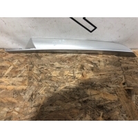 Накладка двери BMW X5 E70 4993000