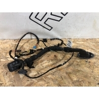 Проводка двери Mercedes-Benz M-Class W164 A0015456045