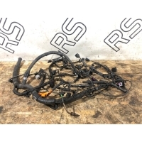 Проводка ДВС Audi A4 B8 8K0971824