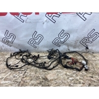 Проводка ДВС Mercedes-Benz S-Class W221 2215407808