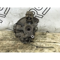 Кулак поворотный Volkswagen Tiguan 1 12345
