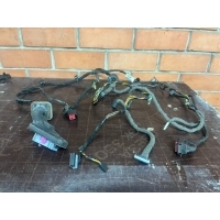 Проводка двери Opel insignia 1 13326769
