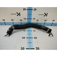 Патрубок радиатора Hyundai Elantra Avante CN7 2022 25415IB000