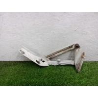 Петля капота левая Mercedes Sprinter II (w906) 2006 - 2017 2014 A9067500021, 9067500021