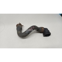 Патрубок радиатора Land Rover Discovery III (2004 - 2009) LR013678