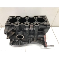 Блок двигателя Renault Megane II (2003 - 2009) 110103691R