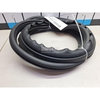 Уплотнитель двери Renault Megane II (2003 - 2009) 8200077500