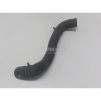 Патрубок радиатора Renault Megane II (2003 - 2009) 8200233966