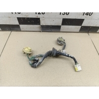 Проводка (коса) HYUNDAI Accent II (+ТАГАЗ) 2000-2012 9249025020