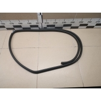 Уплотнитель двери Chevrolet Captiva (C100) 2006-2010 95028343