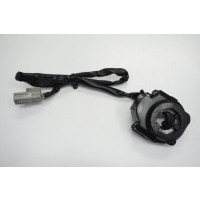 Ducati monster 821 18 - 20 rolgaz elektorniczny
