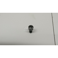 Болт маховика Renault Megane II (2003 - 2009) 123159641R