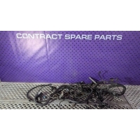 Проводка двигателя Mercedes C W204 2007 A646 150 4120