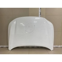 Капот Exeed Exeed LX T1C 2019> 509001110AADYJ